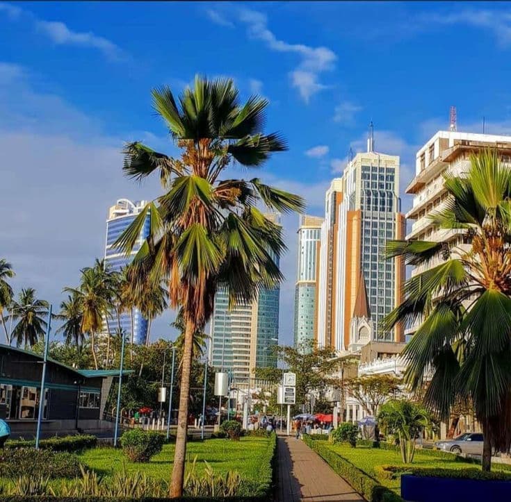 Into The Wild Heart - Image 1